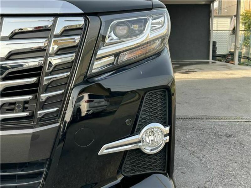 ALPHARD-13