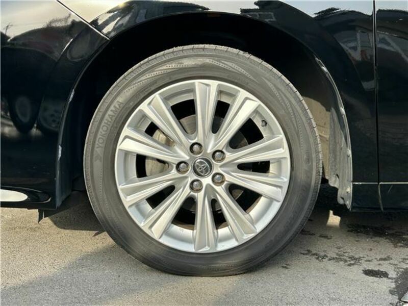 ALPHARD-14