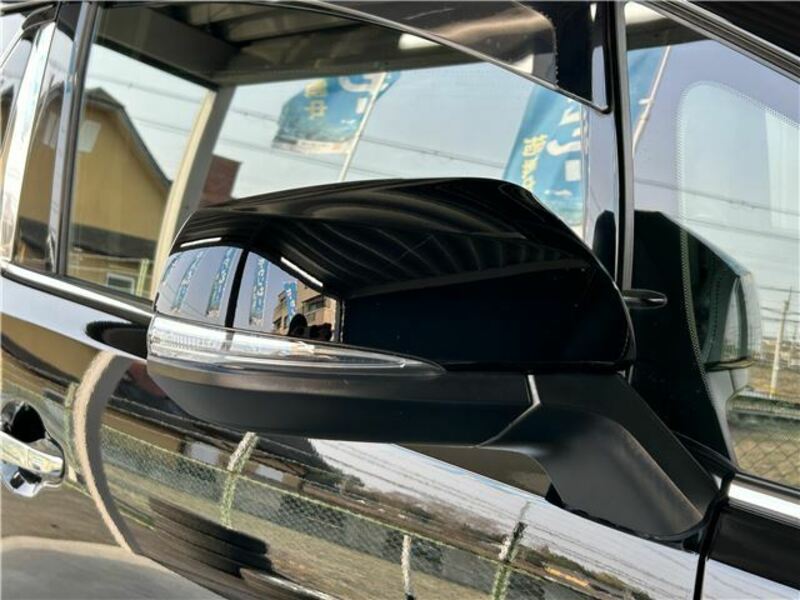 ALPHARD-19
