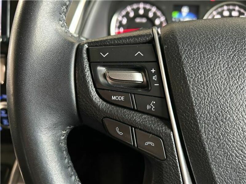 ALPHARD-31