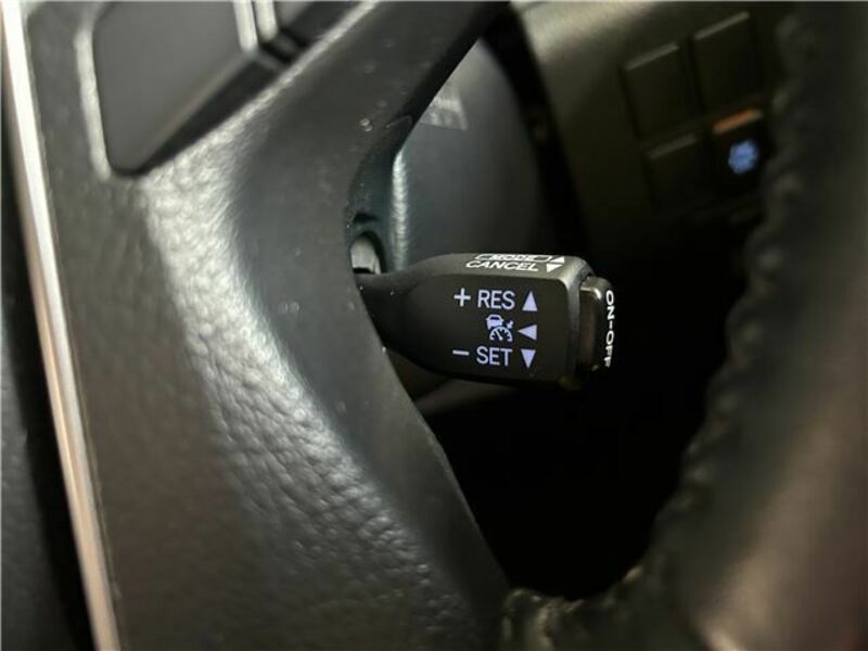 ALPHARD-33