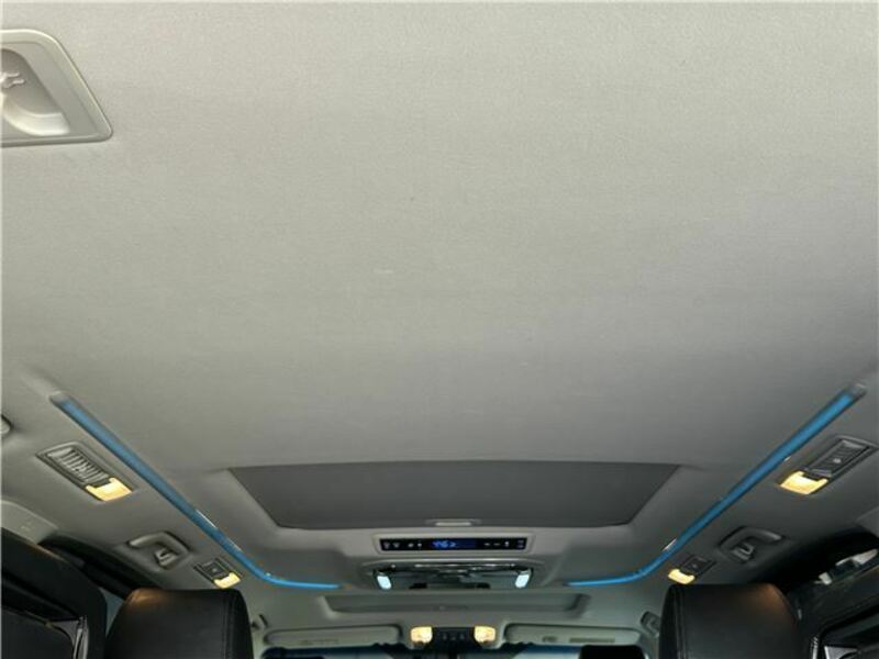 ALPHARD-46