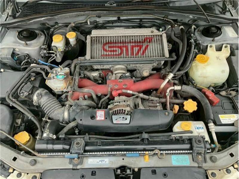 FORESTER-15