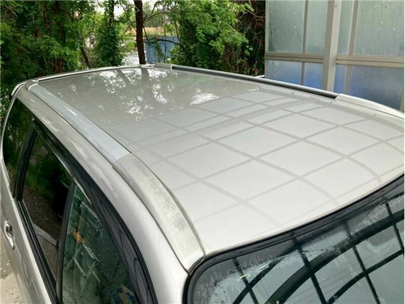 FORESTER-17