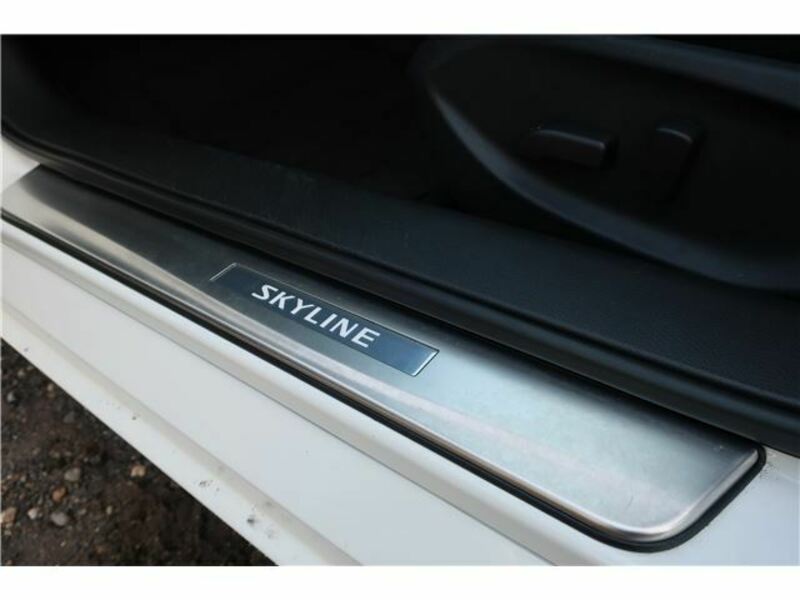 SKYLINE-22