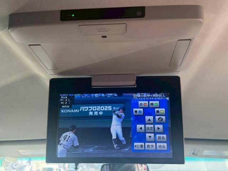 ALPHARD-10