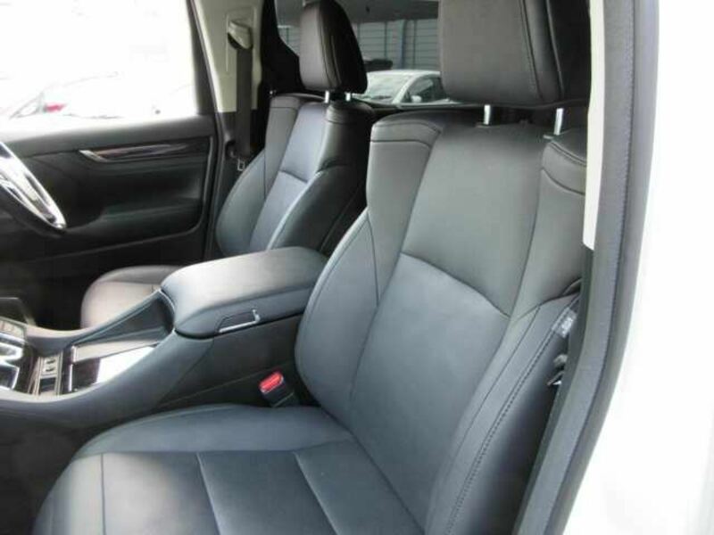 ALPHARD-10