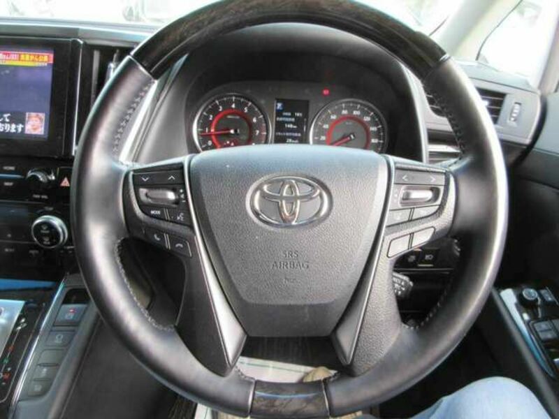 ALPHARD-16