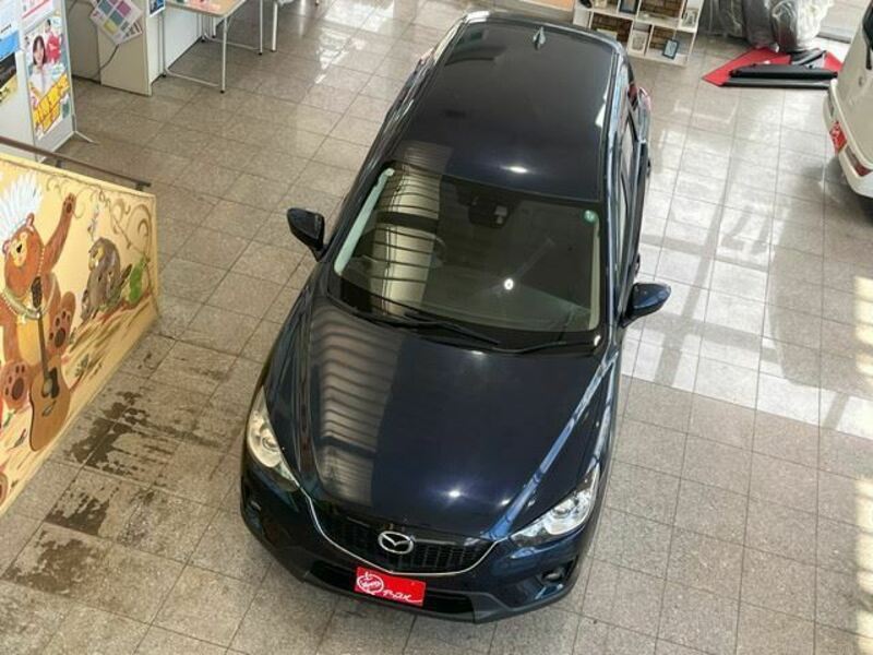 CX-5-19