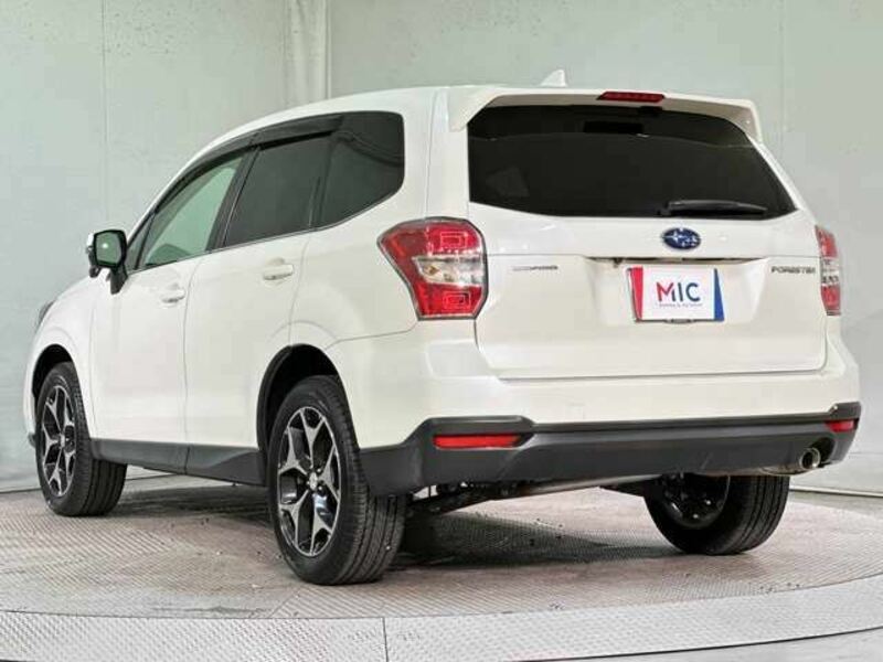 FORESTER-2