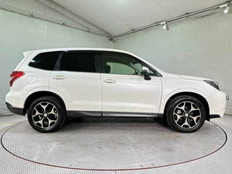 FORESTER-5