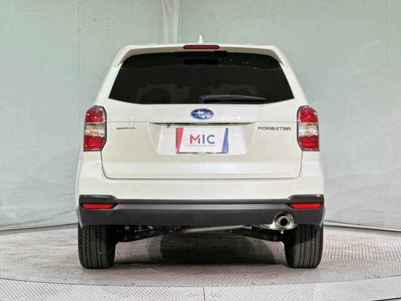 FORESTER-7