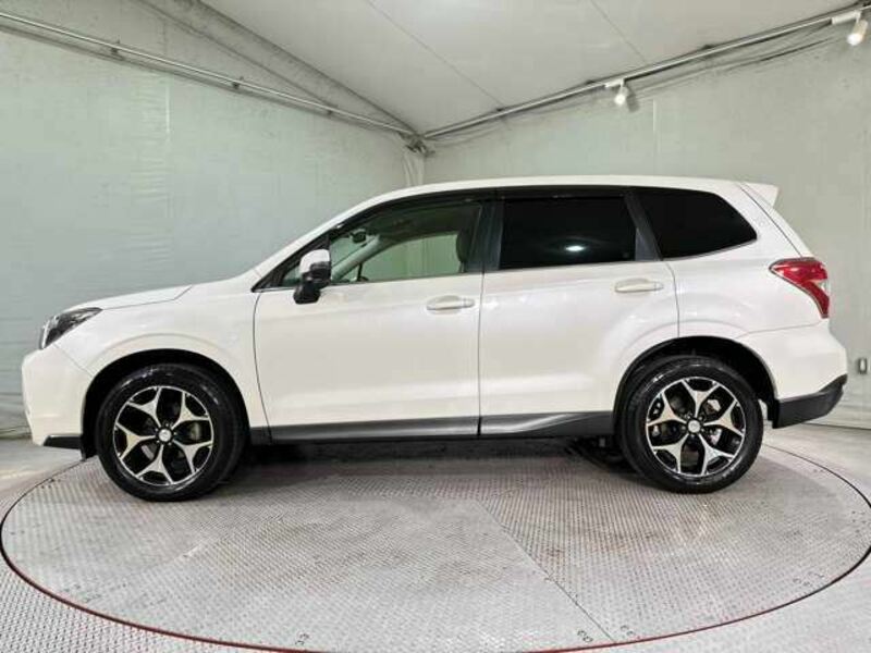 FORESTER-8