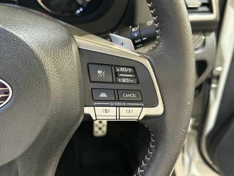 FORESTER-12