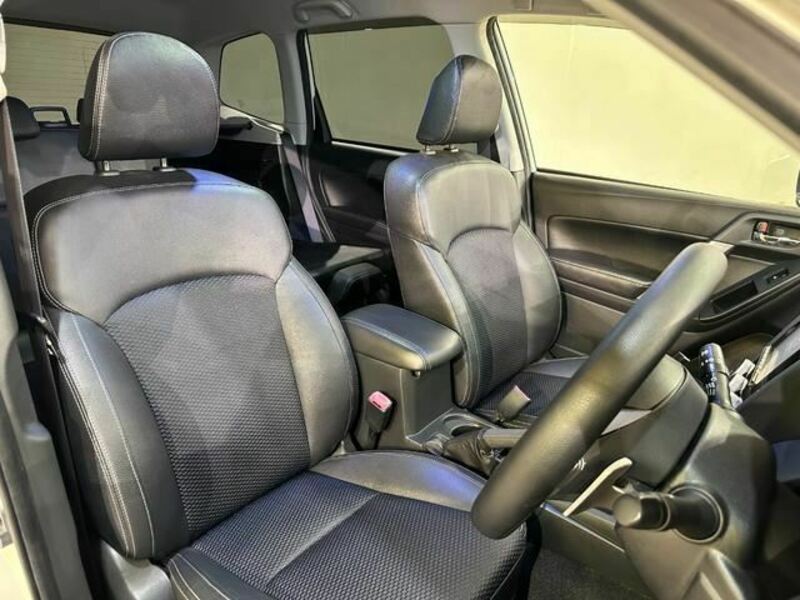 FORESTER-17