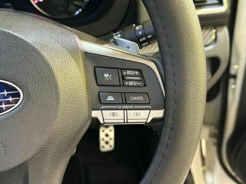 FORESTER-24