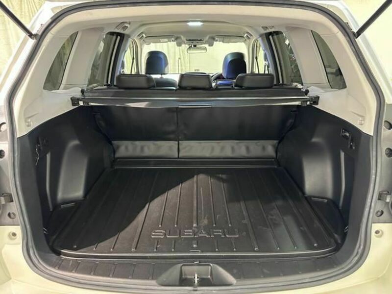 FORESTER-25