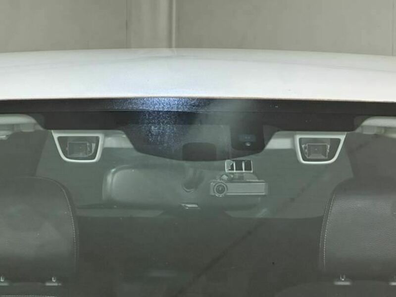 FORESTER-28