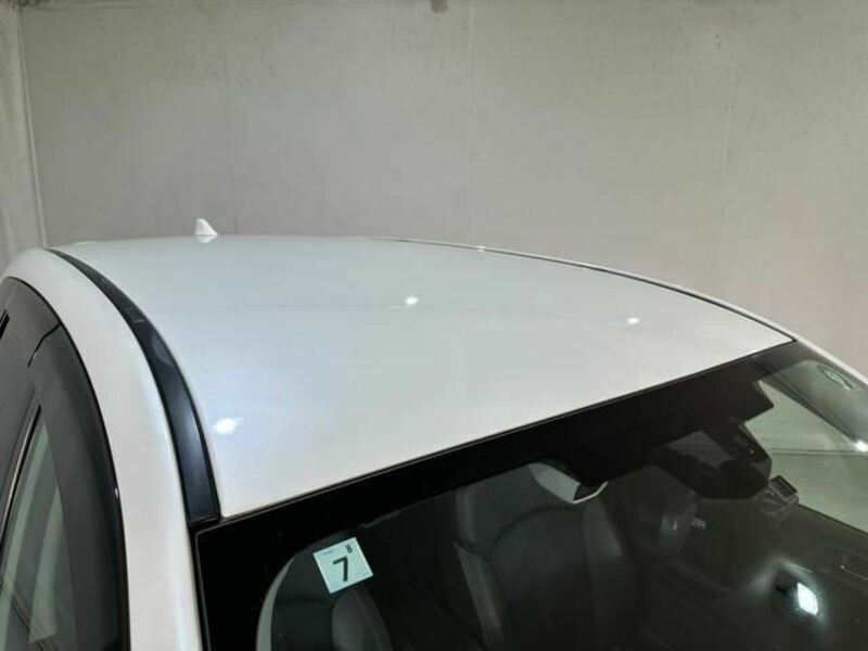 FORESTER-29