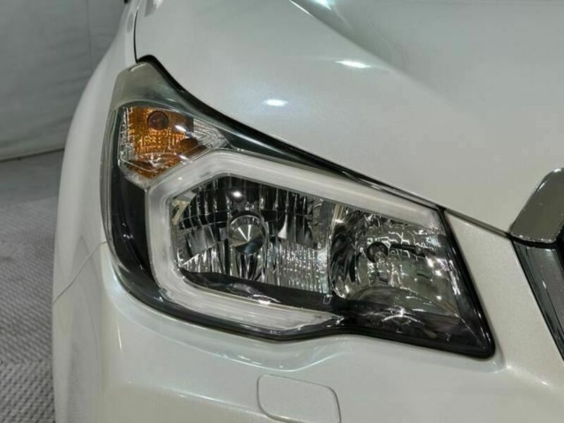 FORESTER-31