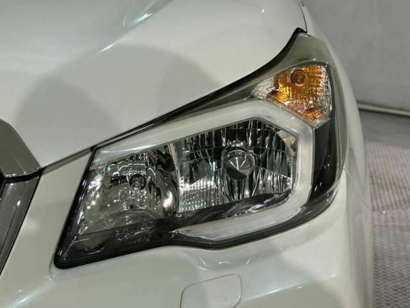 FORESTER-32