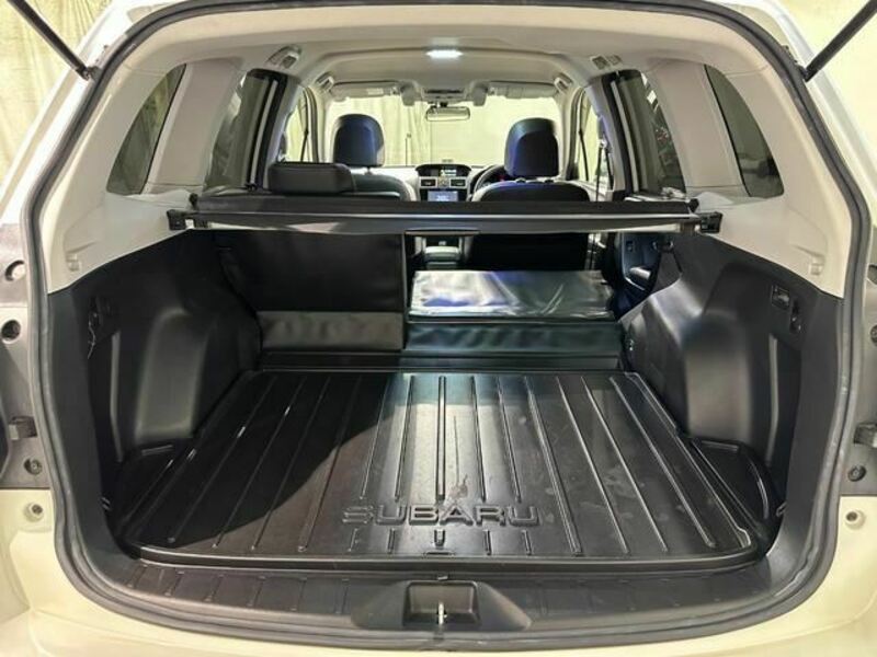 FORESTER-33