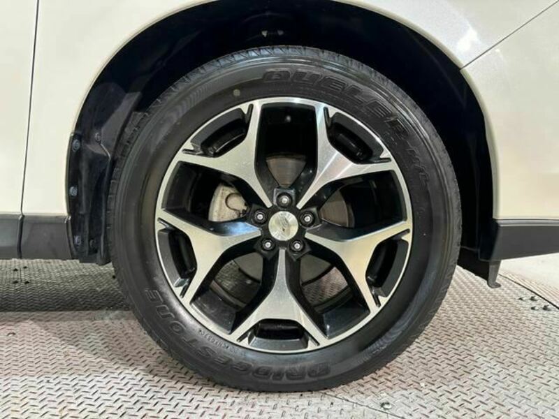 FORESTER-34