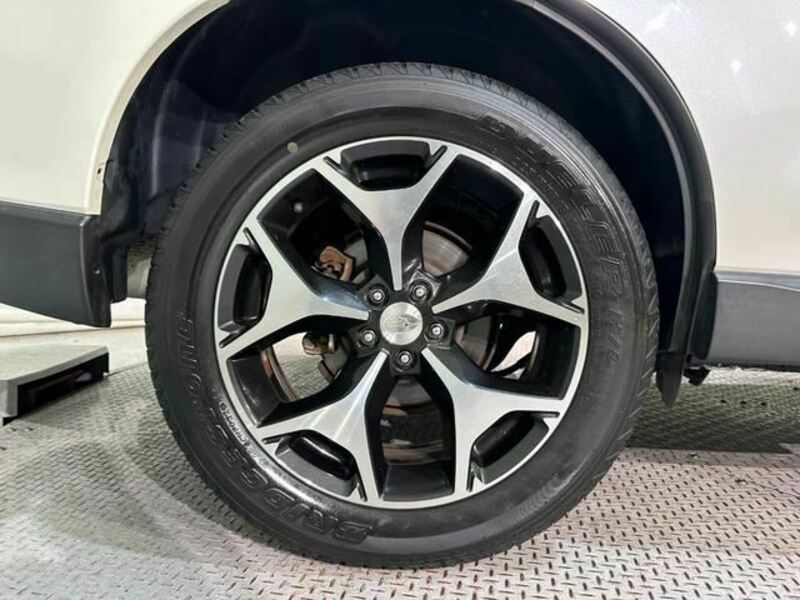 FORESTER-35