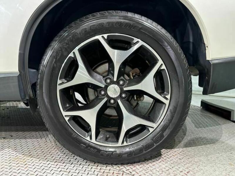 FORESTER-36