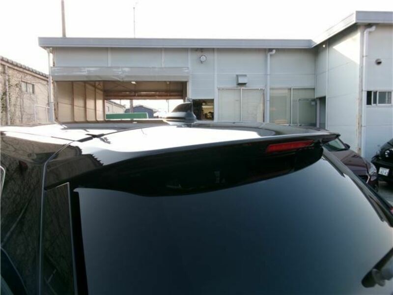 X-TRAIL-12