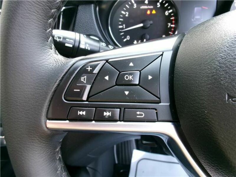 X-TRAIL-15