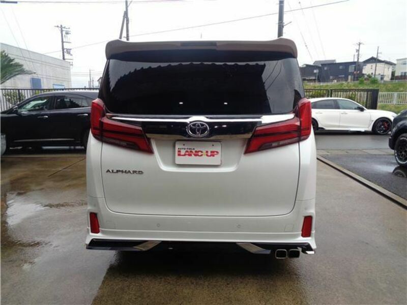 ALPHARD-6