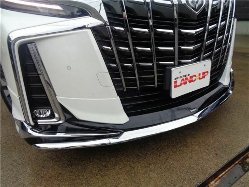 ALPHARD-8