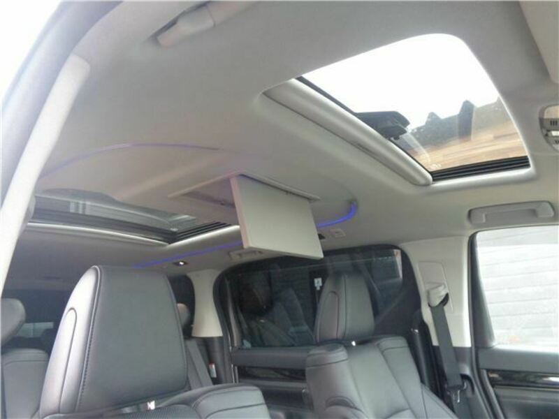ALPHARD-11