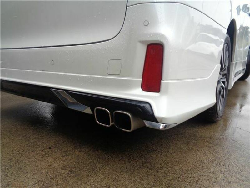 ALPHARD-14