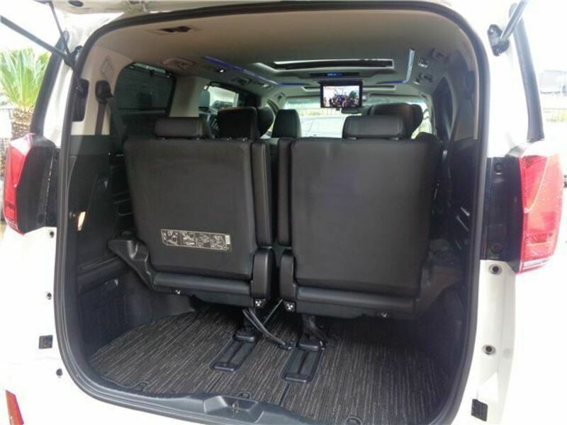 ALPHARD-19