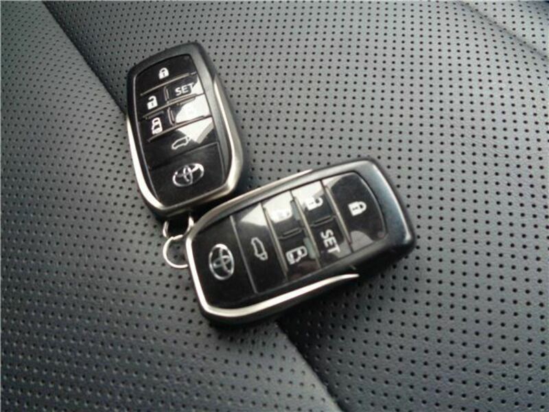 ALPHARD-26