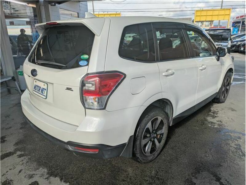 FORESTER-1
