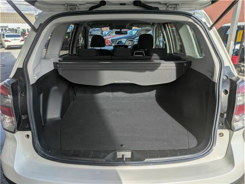 FORESTER-6