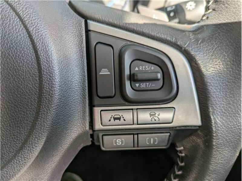 FORESTER-10