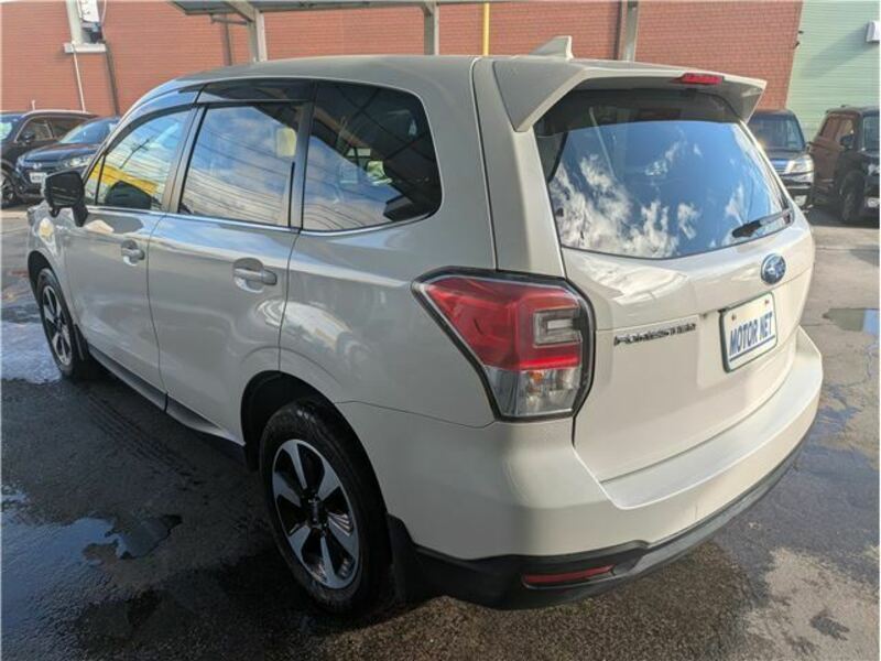 FORESTER-23