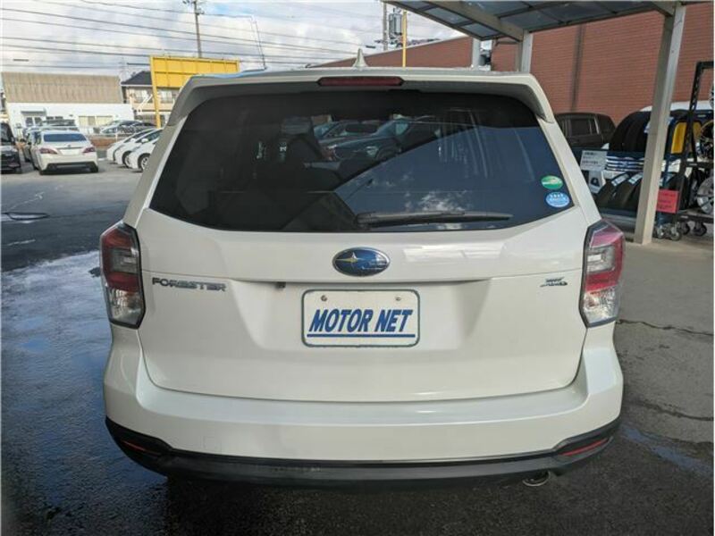 FORESTER-24