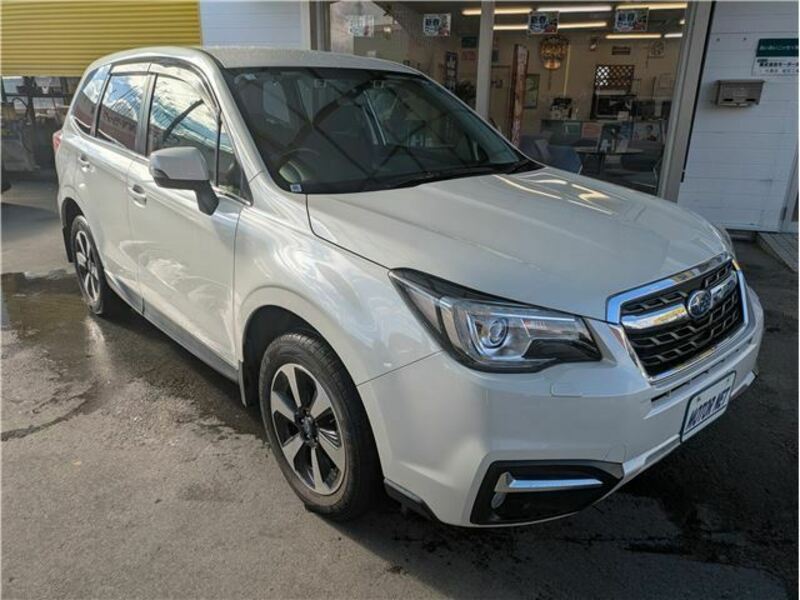 FORESTER-25