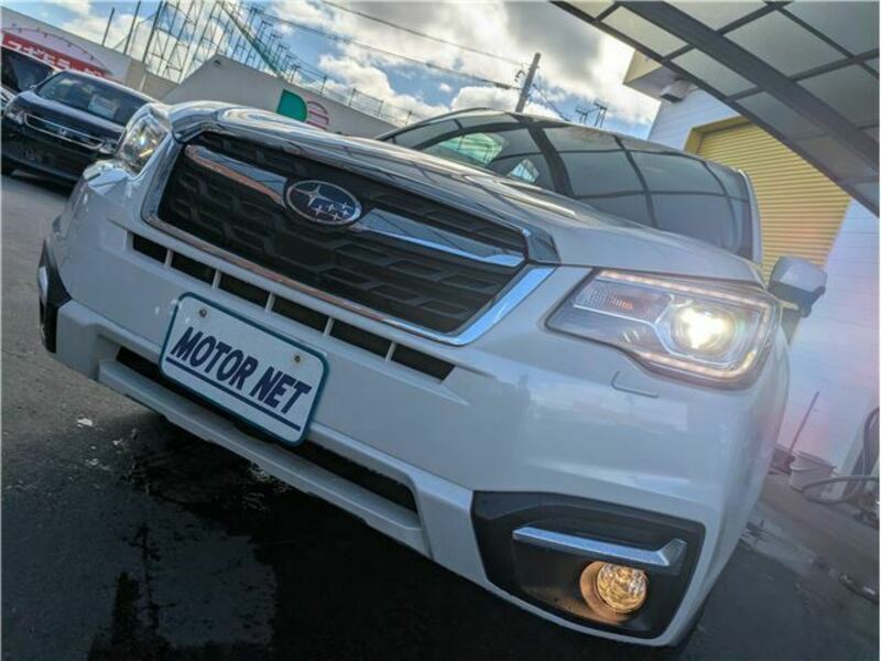 FORESTER-27