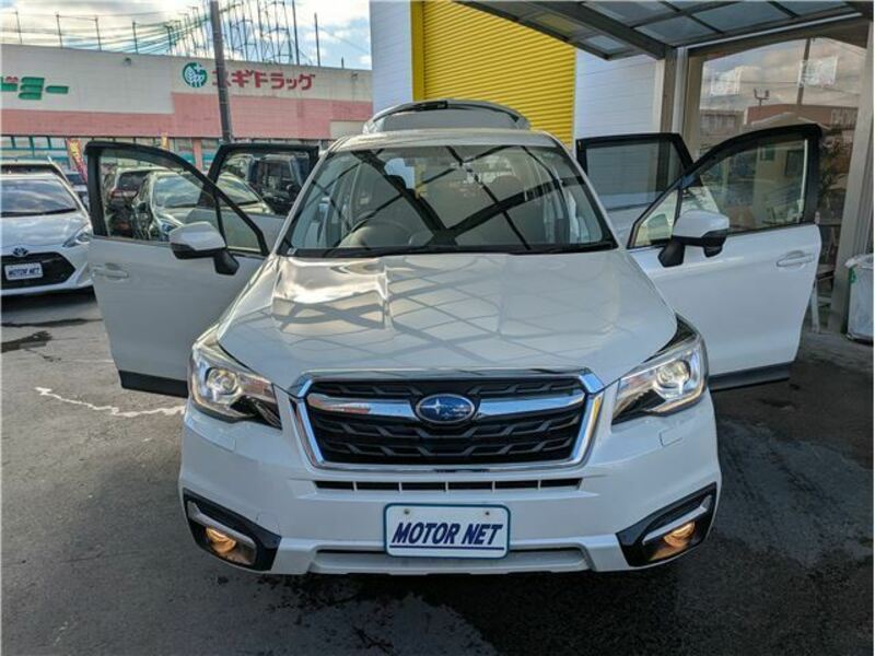 FORESTER-29