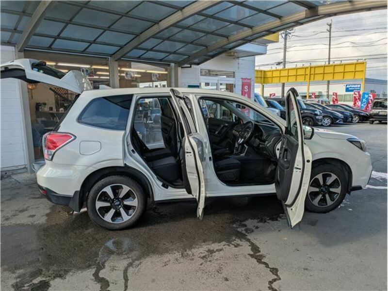 FORESTER-30