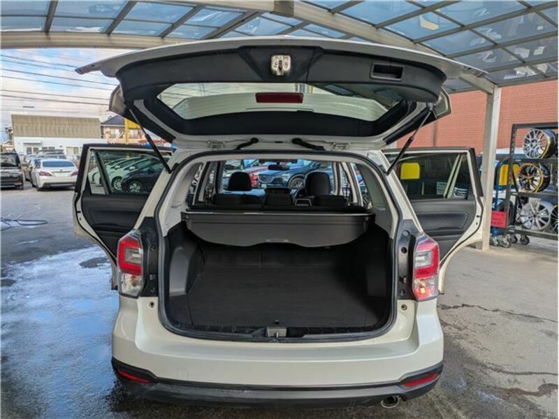 FORESTER-31