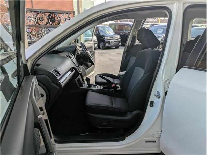 FORESTER-33