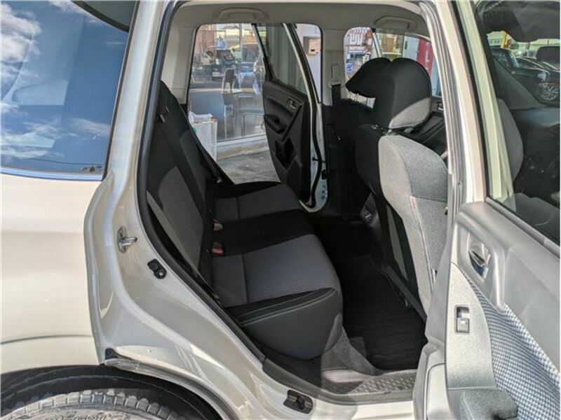 FORESTER-35