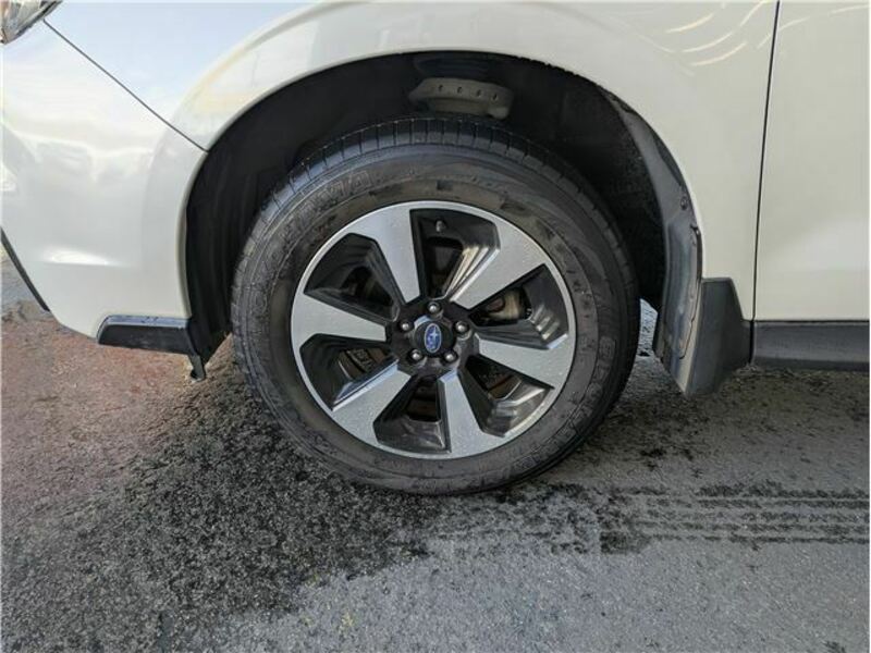 FORESTER-37